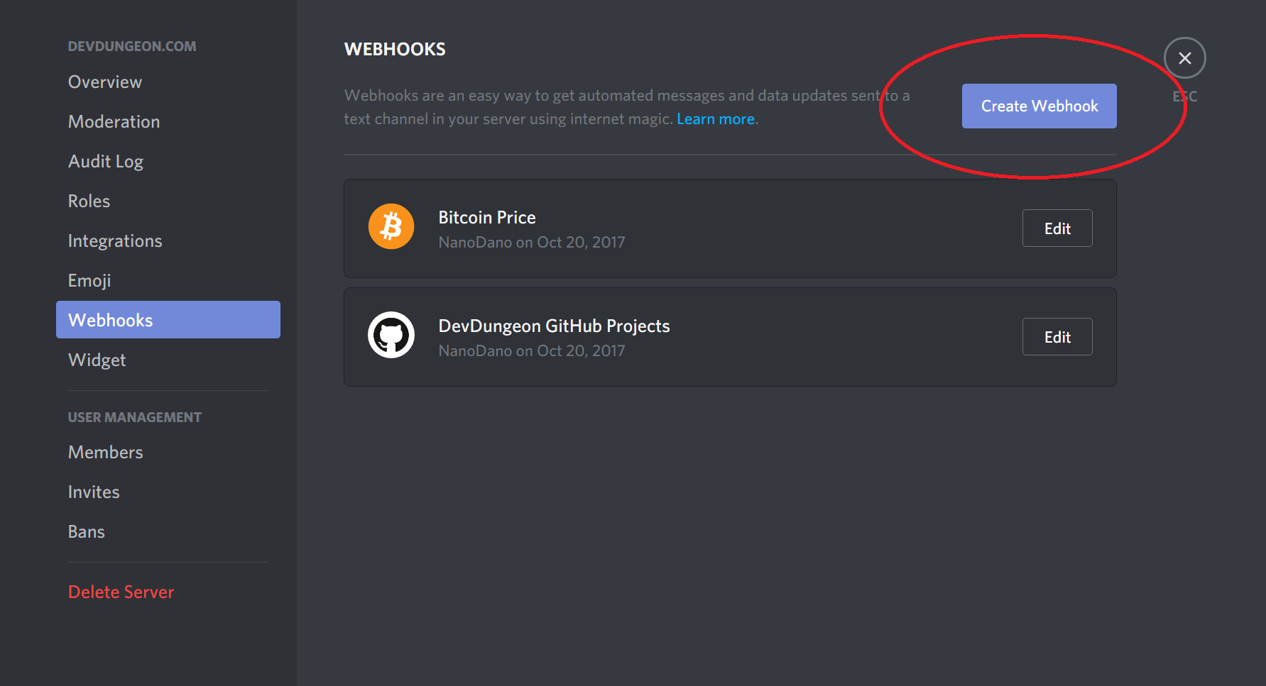 How to Make a Discord Bot: An Overview and Tutorial